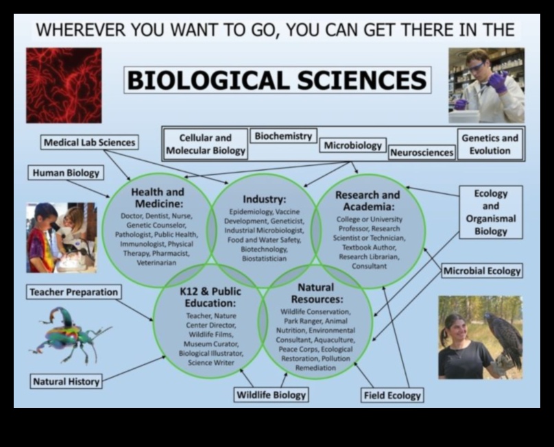 what jobs can i get with a bachelors in biology