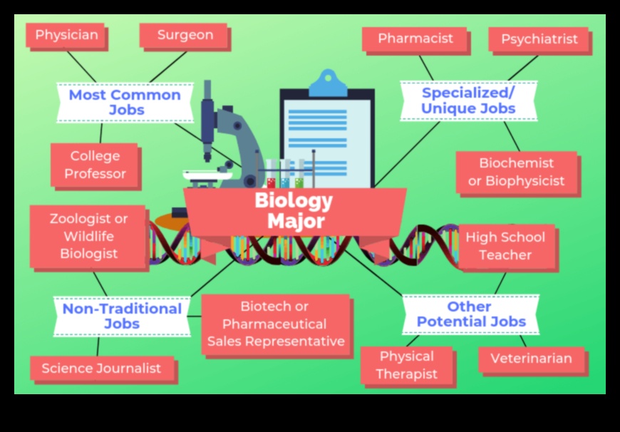 what jobs can i get with a bachelors in biology