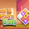 cat room blast