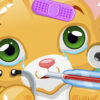 little cat doctor